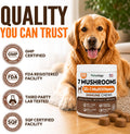 Turkey Tail Mushroom for Dogs - 250 Chews - Lion’s Mane - Shiitake - Reishi - Buddy Immune Support Guard - Lipoma Mushroom Supplement for Dogs Lumps and Bumps Glucosamine, Health Vitamins Multivitamin
