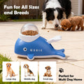 PAWISE Interactive Whale Dog Puzzle Toy & Cat Slow Feeder Food Dispenser