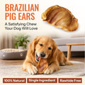 Scoochie Pet Brazilian Pig Ears - All-Natural, 75 Pack Pig Ears for Dogs