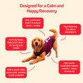 BellyGuard Dog Surgery Recovery Suit, Male Female After Spay Neuter Onesie