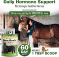 Silver Lining Herbs Mare Moods Calming Supplements for Horses - 1 lb