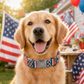 Elegant little tail Independence Dog Collar, Holiday Pet Collar Patriotic Dog Durable Dog Collars Girl or Boy Soft Pet Gift Adjustable Dog Collar for Small Medium Large Dogs
