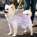 Pet Summer Dress, Cute Princess Dog Dresses for Small Dogs Girl with Bright Color Design, Sweet Bowknot, Small Puppy Clothes for Girls, 2 Pack, XS