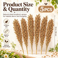 Sukh 5 Pcs Hamster Sprays Natural - Sun Dried Red Sorghum Forage Stalks