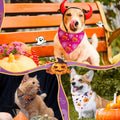 Preboun 50 Pcs Halloween Dog Bandanas Bulk, Pumpkin Ghost Bat Spider Web
