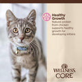 Wellness CORE Tiny Tasters Minced Kitten Wet Cat Food, Natural, Protein Rich, Grain Free, Chicken Recipe, 1.75 oz, Pack of 12 Pouches