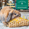 Oxbow Timbells, Rabbit Toys & Guinea Pig Chew Toys, Timothy Hay Bunny Chew