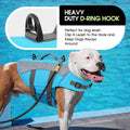 Dog Life Jacket, High Flotation Small Dog Life Vest for Swimming