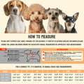 Dog Raincoat Small Dog Rain Jacket Waterproof Pet Rain Suit Double-Layered Poncho Hooded Warm Lining Leash Hole Adjustab
