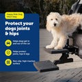 PetSafe Happy Ride PupSTEP HitchStep Dog Stairs, Folding Steps for Truck & SUV Hitches, For Medium to Large Dogs