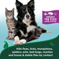 Vet's Best Natural Waterless Flea & Tick Bath for Cats – Natural No-Rinse Dry Shampoo with Plant-Based Ingredients – Flea and Tick Prevention and Control with Certified Essential Oils – 5 oz Bottle
