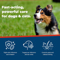 Animapet Ointment for Dogs | Yeast Infection Treatment for Dogs | Dog Ear & Skin Infection Care | Ear Mite, Itching, Irr