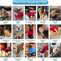 Mihachi Turtleneck Dog Sweater - Winter Coat Apparel Classic Cable Knit Clothes with Leash Hole for Cold Weather, Ideal 