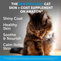 Cat Skin & Coat Health Chews – Crunchy & Creamy Treats with Omegas, Vitamin C & E, Biotin – Soothes Itchy, Dry Skin, Reduces Shedding & Promotes a Shiny Coat – Cat Vitamins (Chicken 90-Day Supply)