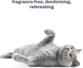 Mighty Meow Soothing Hypoallergenic Cat Shampoo – Easy at-Home Cat Grooming | Deodorizes | Gentle & Anti-Itch | Natural & Allergy-Safe Cat Shampoo Sensitive Skin – Fragrance Free | 9 fl oz