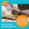 HIVE ALIVE Protein Pollen Patty for Honey Bees, 2 x 1 lb, 15% USA Pollen