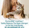 Purina ONE LiveClear Allergen-Reducing Dry Kitten Food, 5 lb Bag