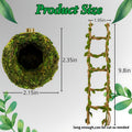 Jumping Spider Accessories - Moss Hideout with Hemp Rope Bridge