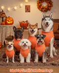 CuteBone Halloween Dog Sweater Dress with Bow for Small Medium Dogs &Cats