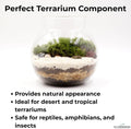 GARDENWISE Fine Sand for Plants – Horticultural Sand for Succulents, Cactus, Potting Mixes, Terrariums & Decorative Indo