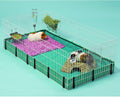 MidWest Homes for Pets Guinea Habitat Cage, Washable PVC Canvas Bottom, Secure Sides, Tool-Free Setup, Expandable Small 