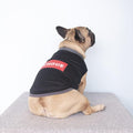 iChoue French Bulldog Summer Cooling Shirt for Dogs UV Sun Protection Vest Sleeveless Stretchy Tank Top English Pug Grey Black - Medium