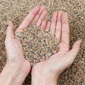 Silica Gravel, Multi-Purpose Mixed Silica Sand for Fire Pits, Aquariums and Landscaping, 5LB Medium