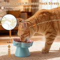 Tilted Cat Bowl, Flower-Shaped Ceramic Slow Feeder Cat Bowl, Raised Pet Bowl for Whisker Relief, Prevents Vomiting & Bloating, Non-Slip Base, Easy to Clean for Dry/Wet Food (Pink & Blue)