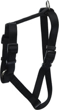 Medium/Black
