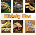 Bearded Dragon Tank Accessories, Reptile Substrate Mat Terrarium Carpet for 4x2x2 Bearded Dragon Enclosure for 120 Gallo