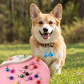 28 Pcs Pet Bells for Dog Cat, Colourful Pet Small Bells with Clasps