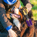 Willinglong 2 Pcs 4 Inches Livestock Mini Drill Scratch Brush Purple Brush Grooming Kit Suitable for Cattle, Cows, Horse