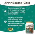 NaturVet ArthriSoothe Gold Advanced Joint Horse Supplement Powder