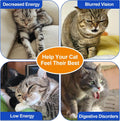 Taurine for Cats – Pure Taurine Powder Supplement for Kittens & Adult Cats, Supports Overall Vitality & Healthy Coat, Ea