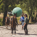 Parelli Green 42" - 44" Durable Inflatable Bright Bouncing Ball | Equine Training & Play Tool - Pony & Horse Toy for Cur