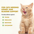 LIQUID-VET Feline Kidney & Bladder Advanced Formula, Plain, 8 oz