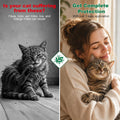 Treatment for Cat | Topical Preventative for Cats | 6 Doses Supply