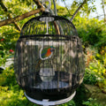 SFIELCAPA 2 Pcs Bird Cage Seed Catcher, Adjustable Bird Cage Net Cover, Reusable Soft Nylon Cover for Parrot Enclosures (Black)