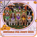 50 Pcs Halloween Dog Bandanas Bulk, Pumpkin Ghost Bat Skull Pattern