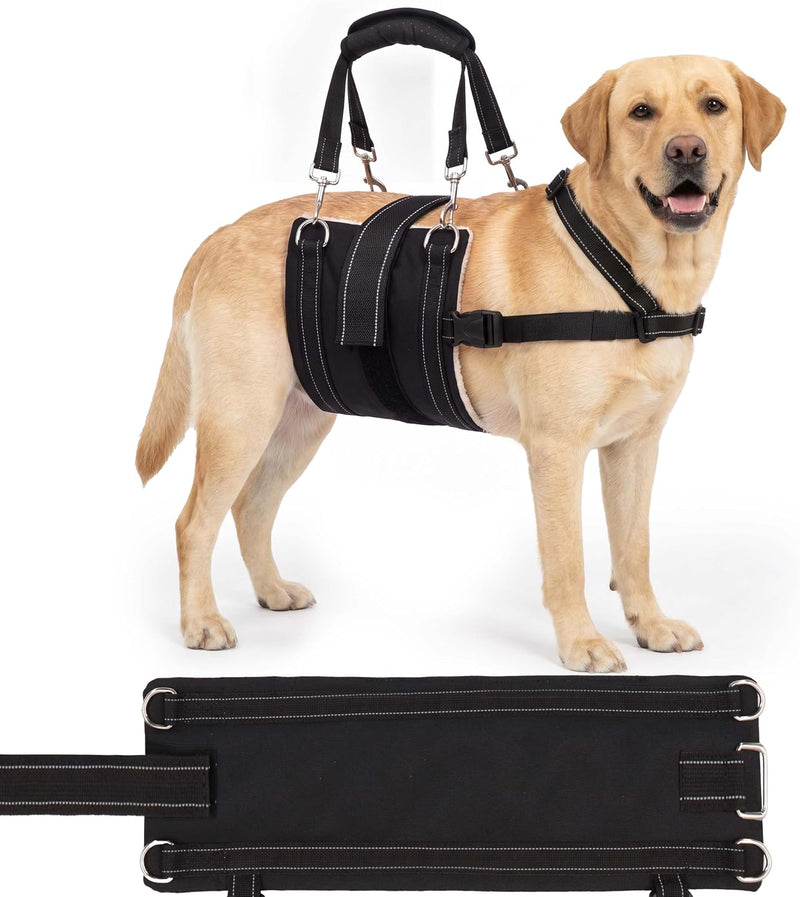 CWV Adjustable All Dog Lift Harness for Large Dogs