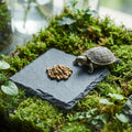 Yuanchu Reptile Basking Platform, Slate Tortoise Rock Plate, Natural Rock Reptile Food Dish Bowl, Habitat Decor for Turt