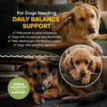 Dog Yeast Infection Treatment, Itching Supports Ear Skin Paw
