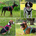 Plutus Pet No Pull Dog Harness, Adjustable Nylon Harness with Soft Padding