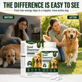 Quad Dewormer for Dogs, 4-Way Wormer for Whipworm, Tapeworm, Hookworms & Roundworm, 100 Count