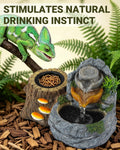 Reptile Water Fountain 700ML with Food Dish for Geckos, Bearded Dragons