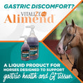 VITALIZE® ALIMEND®, 64 Oz
