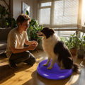 Dog Balance Disc 14", Dog Balance Equipment with Cushion and Pump, Pet Training Platform for Pet Rehabilitation Training