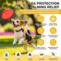 Flea and Tick Chewables for Dogs - 200 Ct - Flea and Tick Chews Supplement
