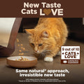 Wellness CORE+ Adult Dry Cat Food for Indoor Cats, Natural, Grain Free Kibble, Chicken, Turkey and Chicken Meal Recipe, 5 lb Bag