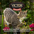 VICTOR Raw Kibble Blend - Salmon Freeze-Dried Dry Cat Food, 4 lb